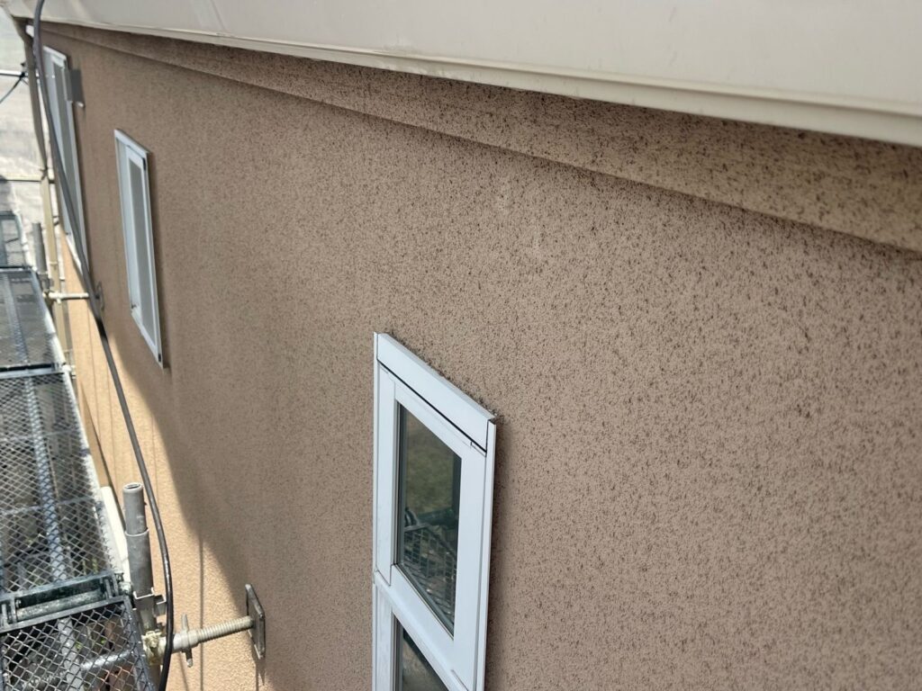 外壁 高圧洗浄後