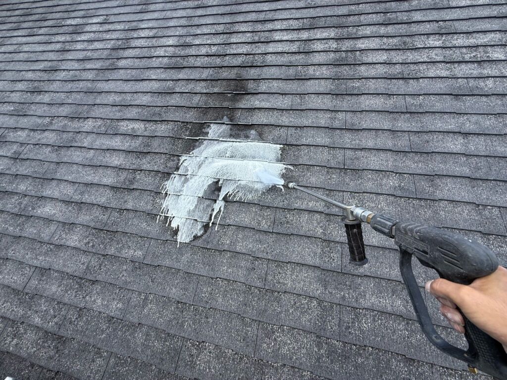 屋根 バイオ洗浄液塗布