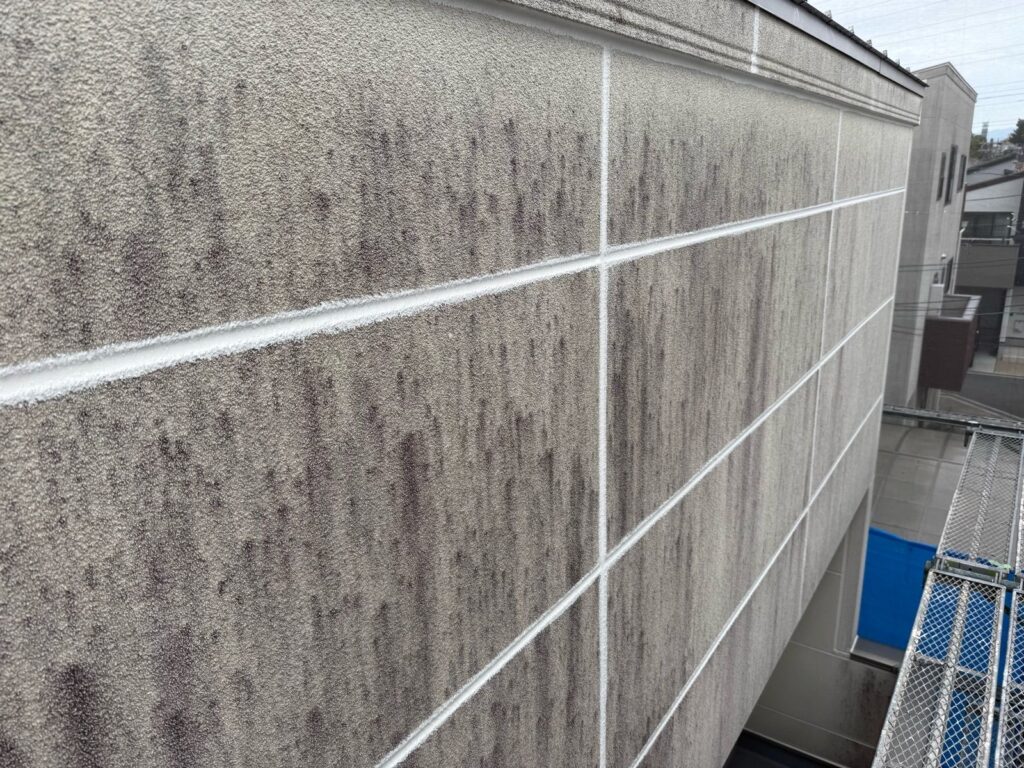 外壁　バイオ洗浄液塗布